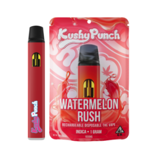 Kushy Punch Watermelon Rush Disposable