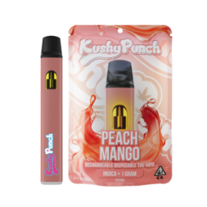 Kushy Punch Peach Mango Disposable